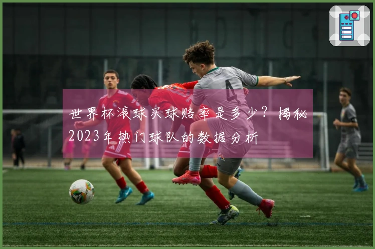 世界杯滚球买球赔率是多少？揭秘2023年热门球队的数据分析