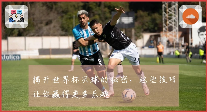 揭开世界杯买球的秘密，这些技巧让你赢得更多乐趣